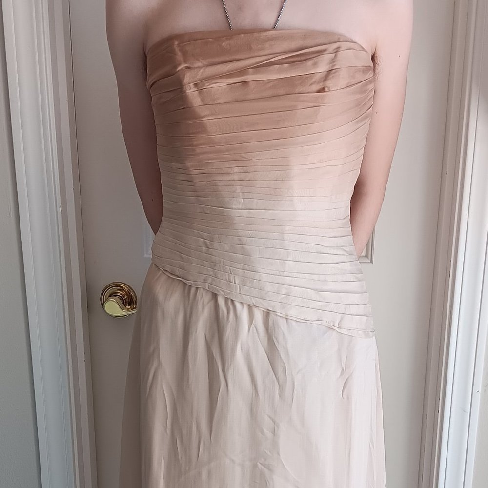 NWT Rimini Silk Strapless Gown, Size 6